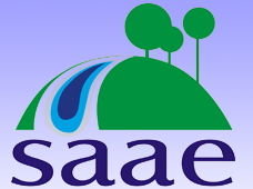 Logo SAEE - MG