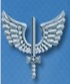Logo Aeronáutica